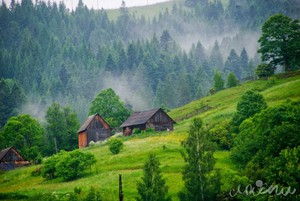 Карпаты весной и зимой