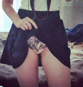 Кототрусы