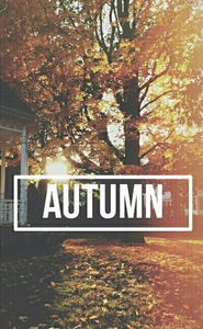 Приятную осень