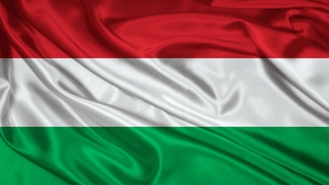 Флаг Венгрии на стенку