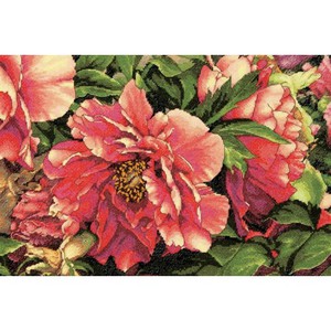 Dimensions 35298 	Coral Peonies