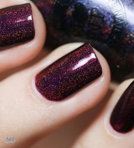 ILNP black orchid