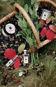 Jo Malone Blackberry & Bay Body Crème