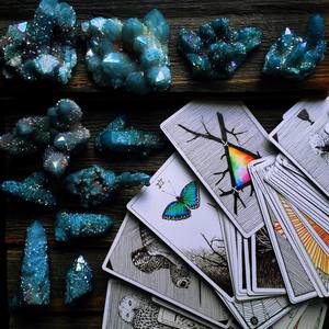 The Wild Unknown Tarot Deck & Guidebook Deluxe Set