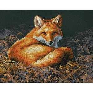 "Sunlit fox" Dimensions