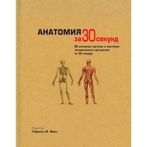 Анатомия за 30 секунд.