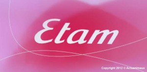 Подарочный сертификат в магазин нижнего белья  Etam