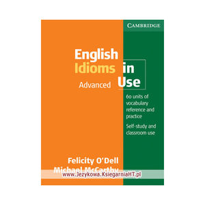 English idioms in use Advanced