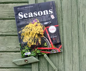 Подписка на год Seasons