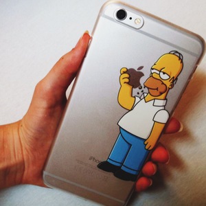 Homer case