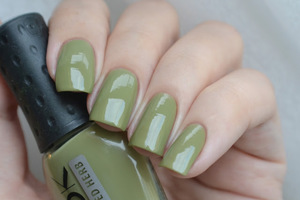 NailLook 31404 Dried Herb