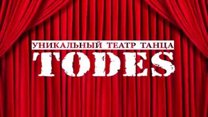 Билеты на шоу театра Todes