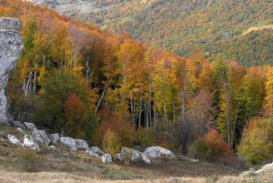 Осенний поход