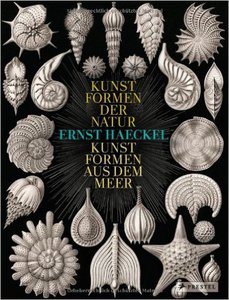 Ernst Haeckel___Kunstformen der Natur - Kunstformen aus dem Meer