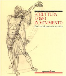 Struttura uomo in movimento. Alberto Lolli