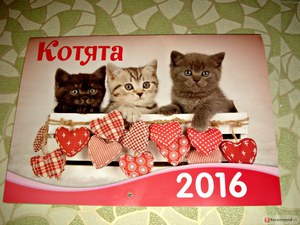 Календарь с котятами настенный