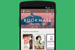 Годовая подписка на bookmate premium