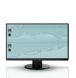 Eizo FlexScan EV2450