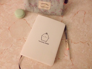 Cream/ mint Molang diary