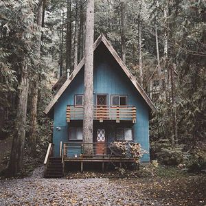 Little house in the woods