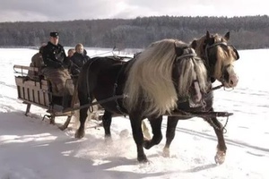 Две лошади)