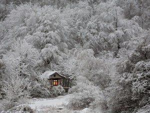 Дом для интровертов