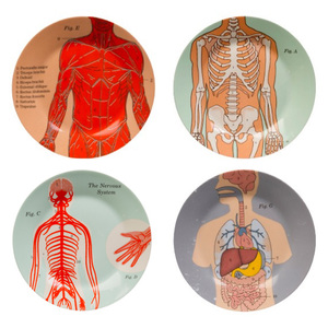 Тарелки 'Anatomical', набор 4 шт