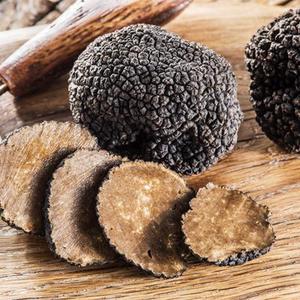 Truffle