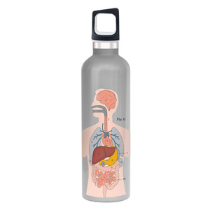 Бутылка для воды 'Anatomical' / Organs