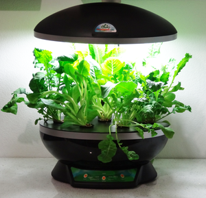 Гидропонная установка: Аэросад, Аэроферма, Aerogarden, фитоферма и т.п.