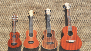 Гавайская гитара укулеле