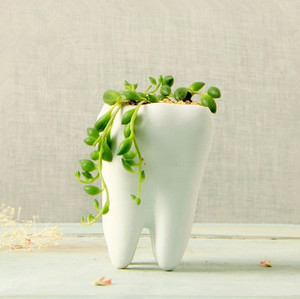 AIBEI-Pastoral Style White Ceramic plant Pots 1PC (Large) Creative Teeth model Flowerpot Flower Garden Pots Planters