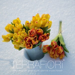 Имитация живых цветов TerraFiori