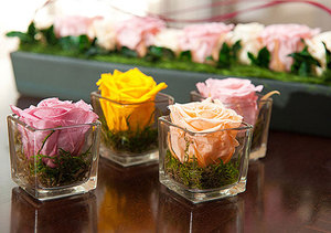 Вазочка с сухоцветами