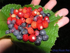 Ягоды и фрукты каждый день на 2 завтрак и полдник - ммммм