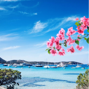 Italian Summer