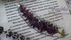 Подвеска-льдинка из цветущей веточки шалфея.