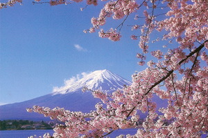 Japan! Again! In spring :)