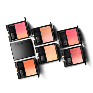 SUQQU Pure Color Blush