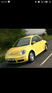 Volkswagen beetle