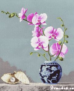 Розовая орхидея СЖ-024 Золотое Руно
