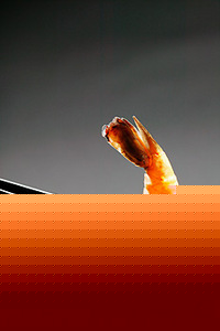 Есть китайскими палочками