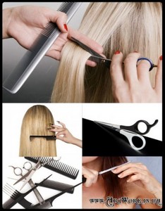 Выбраться на стрижку