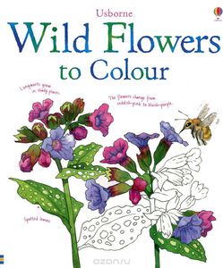 Wild Flowers to Colour