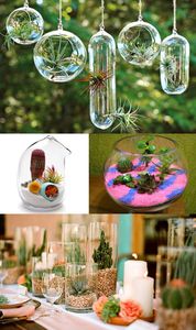 Горшки, кашпо, суккуленты, вазы для флорариумов