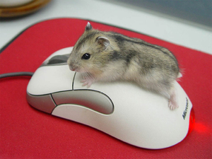 мышь с подогревом