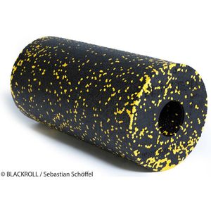 Массажный ролл BLACKROLL® STD (стандартный) (Черный/Желтый)