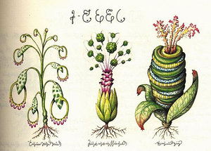 Codex Seraphinianus