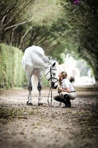 take a horse riding class