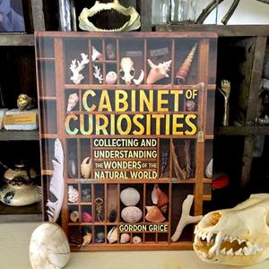 Cabinet of Curiosities: Collecting and Understanding the Wonders of the Natural World